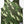 Marty McFly Jersey Camo GREEN/RED/BLACK