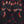 Omertà summer gloves